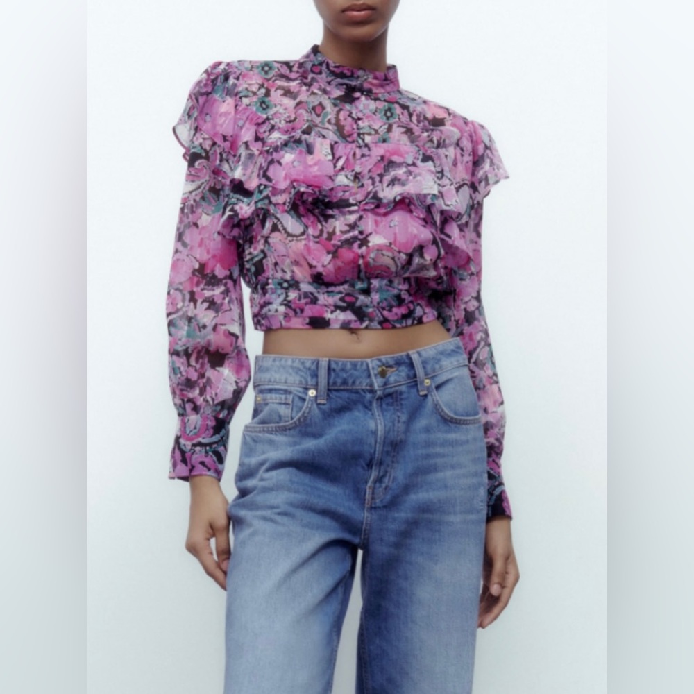 Zara Long Sleeve Crop Top